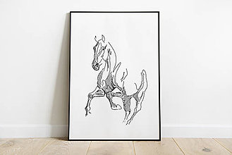 Grafika - print - Kôň v pohybe 3 - 13622184_