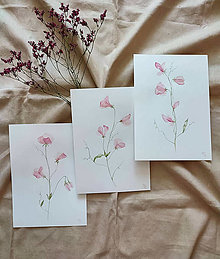 Obrazy - Priesvitné kvety - trio - 13621722_