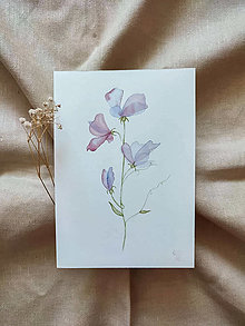 Obrazy - Priesvitné kvety-originál - 13621727_