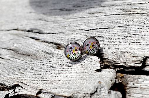 Náušnice - Stylovky - Na louce .... - 13627534_