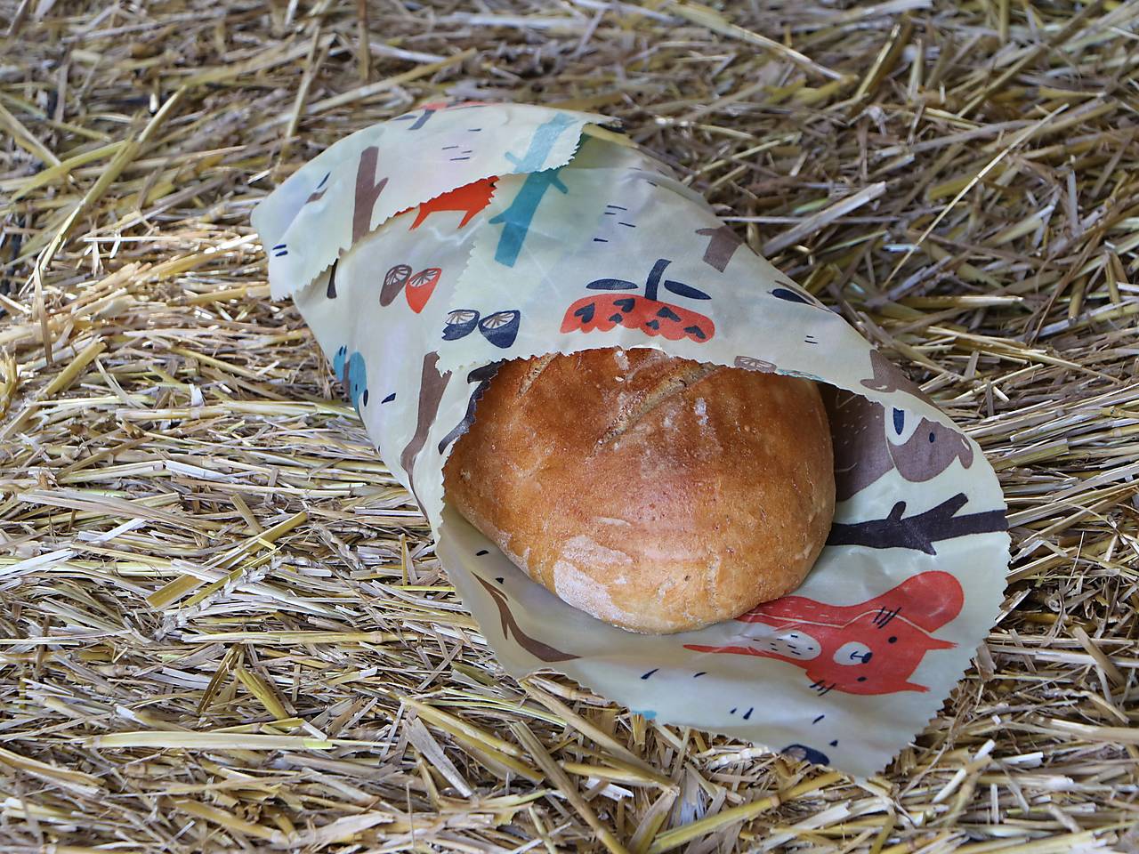 Voskobrúsok zvieratká v lese (42cm x 33cm)