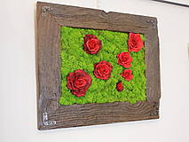 Obrazy - Obraz s ružami v stabilizovanom machu - 13637520_