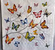 Papier - Servítka, pestrofarebné motýle - 13661158_