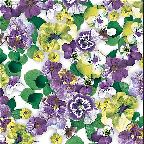 Papier - Servitka K 320 - 13667835_