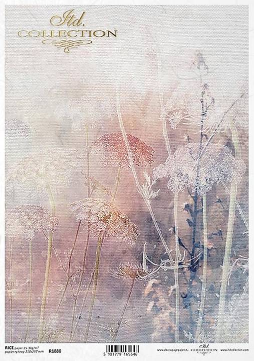 Papier - Ryžový papier - 13680217_
