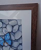 Obrazy - Motýľ na kamienkoch - akvarel (rám tmavé drevo) - 13691901_