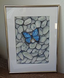 Obrazy - Motýľ na kamienkoch - akvarel (strieborný rám) - 13692697_