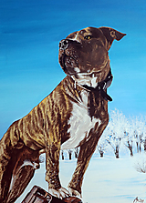 Obrazy - Portrét psíka podľa želaní - na objednávku - 13702961_