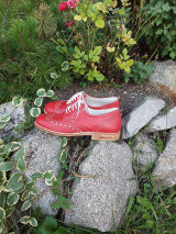 Ponožky, pančuchy, obuv - Dámské topánky z kože - 13716447_