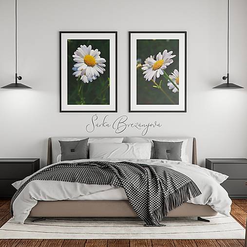 Grafika - MARGARÉTY - 13737409_