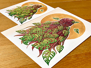 Grafika - Monstera v ohnivých vlasoch - Print | Botanická ilustrácia - 13740674_