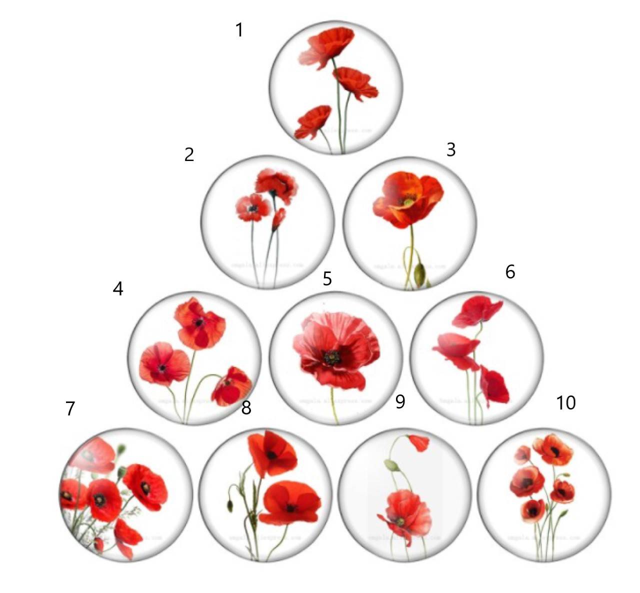 KA101 Kabošon divé maky II  12 mm