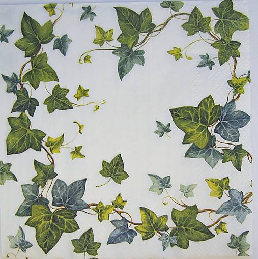 Papier - Servitka P 1 b - 13762073_