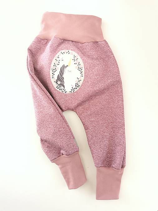 Softshellky “unicorn” 