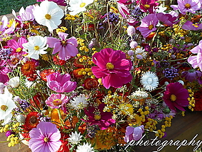 Fotografie - Letný kvetinový hrantík - 13769512_