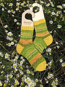 Ponožky, pančuchy, obuv - Vzorované ponožky (Zelená) - 13802579_