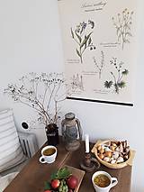 Kresby - Botanický plagát bylinky - 13811004_