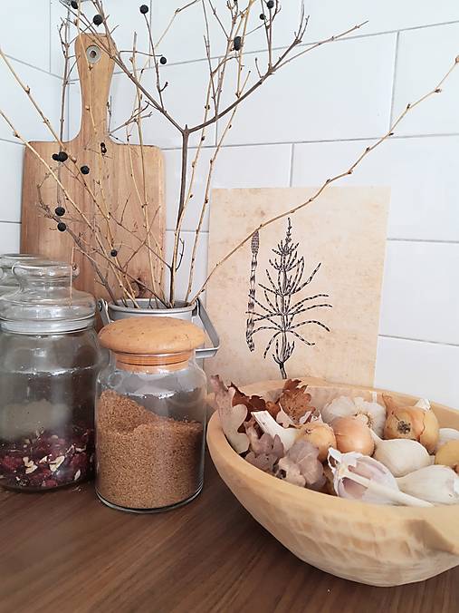 Kresby - Obrázok praslička - 13809091_