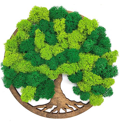 Obrazy - Machový obraz Strom života 20cm kombinácia (Palisander) - 13814804_