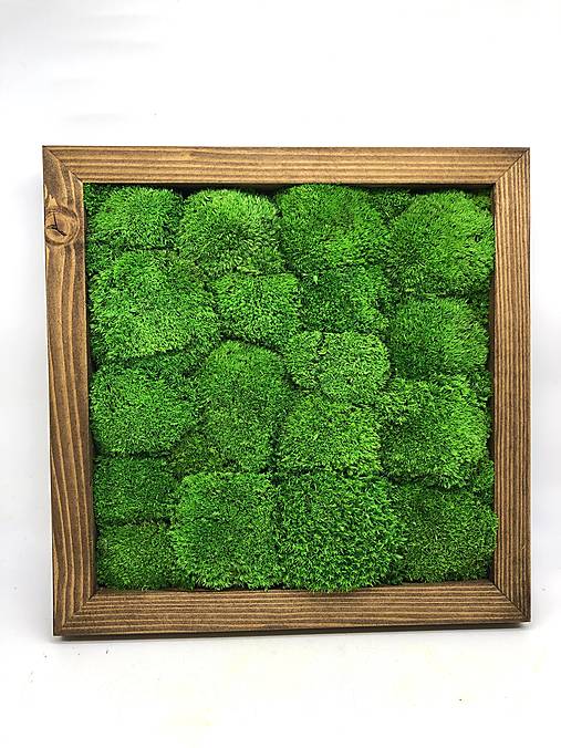 Obrazy - Machový obraz 25x25cm (Mach) - 13814978_