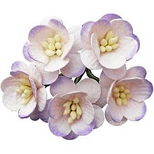 Iný materiál - Papierové čerešňové kvety lilac - 30% ZĽAVA - 13818939_