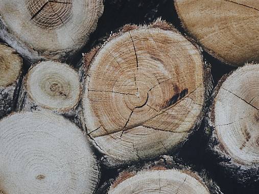 Textil - Popílené drevo digi - 13824391_