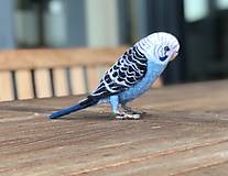Dekorácie - Andulka - papagájec vlnkovaný, podľa zadania - 13821417_