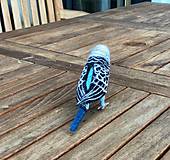 Dekorácie - Andulka - papagájec vlnkovaný, podľa zadania - 13821418_