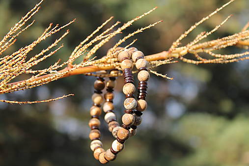 NATURE  Jaspis_Kokosové drevo