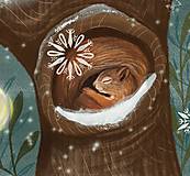 Grafika - Grafika- print - Celú zimu prespí- veverička a sova - 13842313_