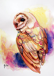 Obrazy - Owl dream - tlač A4, A3 - 13849102_