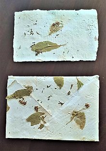 Papiernictvo - Origami obálka z ručného papiera biela s kvetmi lipy a lístkami yzopu lekárskeho - 13860045_