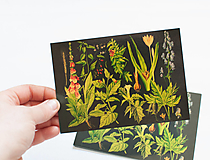 Papier - Pohľadnica "Liečivé rastliny, 1938" - 13879076_