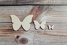 Polotovary - Motýľ - výrez - 13876044_