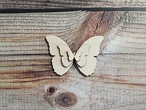 Polotovary - Motýľ - výrez - 13876042_