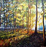 Obrazy - Novembrové slnečné lúče, maľba - 13883623_