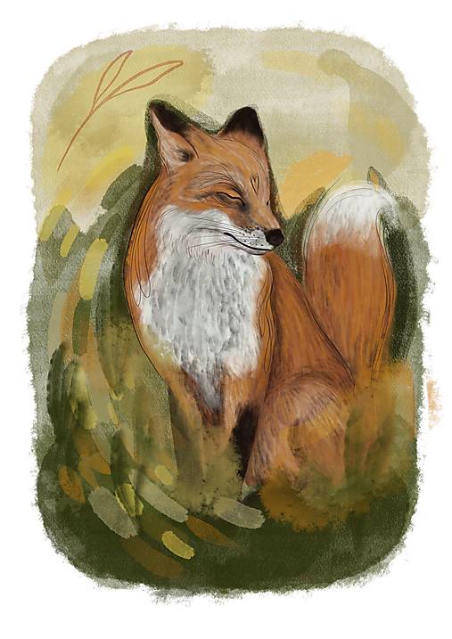 Print-ilustrácia Jesenná líška