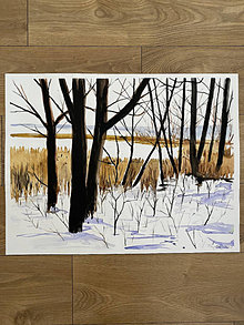 Obrazy - Zima a stromy - 13919638_