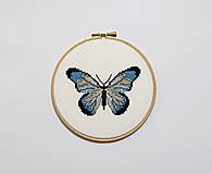 Obrázok - Motýľ modrý