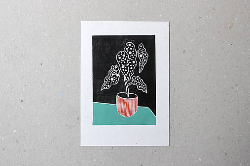 Grafika - Tisk / Begonia (Tisk /// Begonia #1) - 13953463_