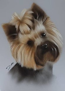 Obrazy - Nakreslené portréty psíkov - 13956555_