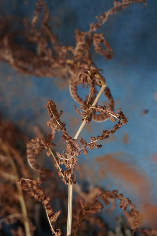 Fotografie - Zlomené sebavedomie - 13962770_