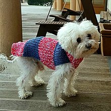 Pre zvieratá - Ručne pletený sveter pre psa - 13966917_