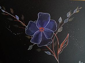 Kresby - Polnočný kvet - 13970698_