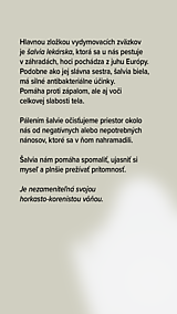 Iné - Vydymovadlo Šalvia & Nechtík - 13984995_