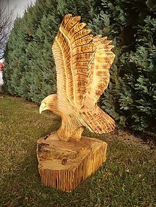Sochy - Socha Orol - 13983571_