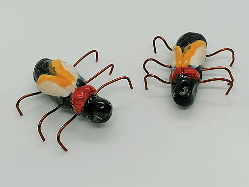 Chrobáky (chrobák so žltobielymi krídlami)