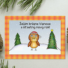 Papiernictvo - Zvieracie Vianoce - vianočná pohľadnica s vtáčikom (károvaná) - 14007419_