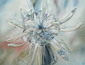 Obrazy - Květina 1 - olejomalba na plátně - 14029134_