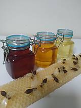 Včelie produkty - Včelí Med - Zdravie z prírody - 14037395_